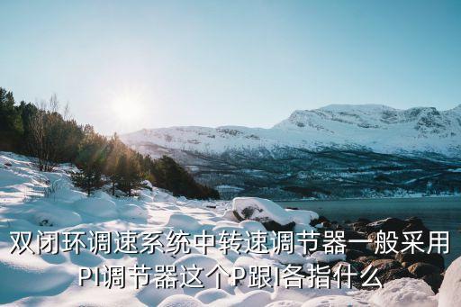雙閉環(huán)調(diào)速系統(tǒng)中轉(zhuǎn)速調(diào)節(jié)器一般采用PI調(diào)節(jié)器這個(gè)P跟I各指什么