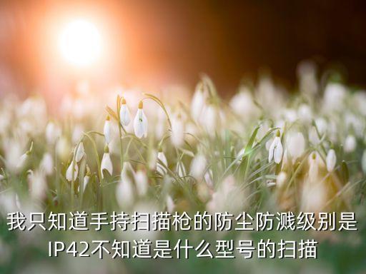 我只知道手持掃描槍的防塵防濺級別是IP42不知道是什么型號的掃描
