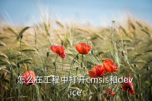 怎么在工程中打開cmsis和device