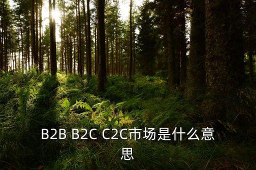 B2B B2C C2C市場是什么意思