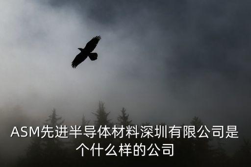 ASM先進(jìn)半導(dǎo)體材料深圳有限公司是個(gè)什么樣的公司