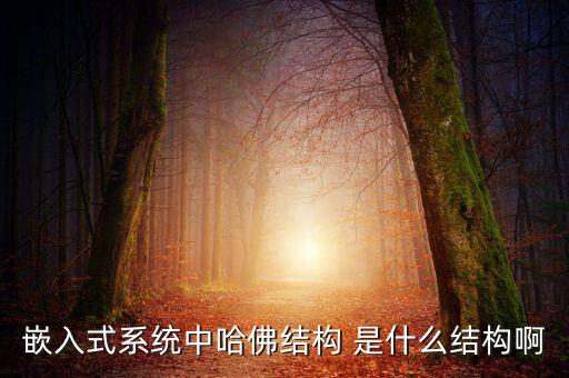 嵌入式系統(tǒng)中哈佛結(jié)構(gòu) 是什么結(jié)構(gòu)啊
