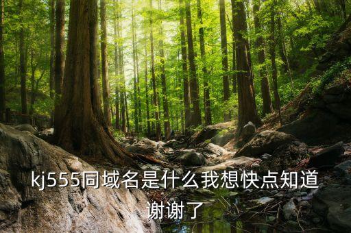 kj555同域名是什么我想快點(diǎn)知道謝謝了