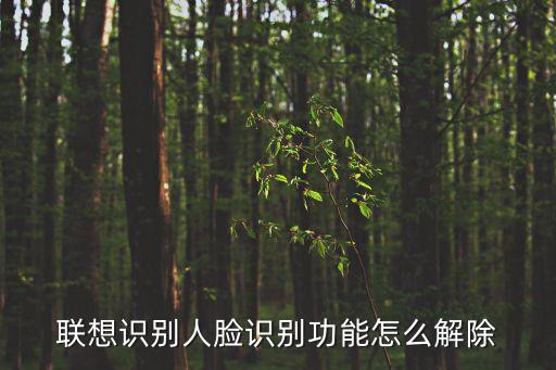 聯(lián)想識別人臉識別功能怎么解除