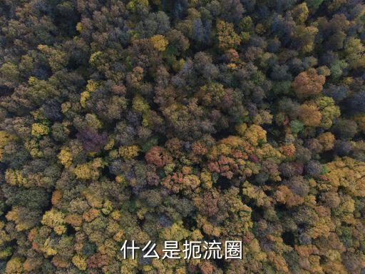 什么是扼流圈