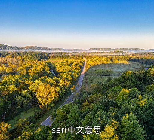 seri中文意思