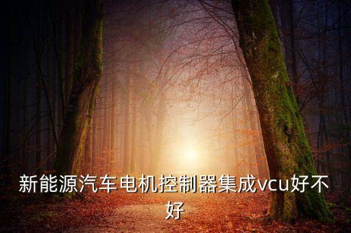 vcu整車控制器，東風天龍vecu整車控制器總成怎么刷