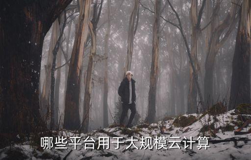 哪些平臺用于大規(guī)模云計算