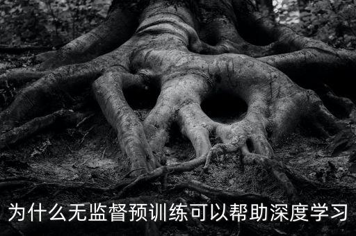 為什么無監(jiān)督預(yù)訓(xùn)練可以幫助深度學(xué)習(xí)