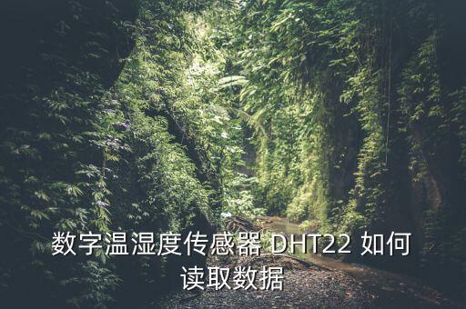 dht22，數(shù)字溫濕度傳感器 DHT22 如何讀取數(shù)據(jù)