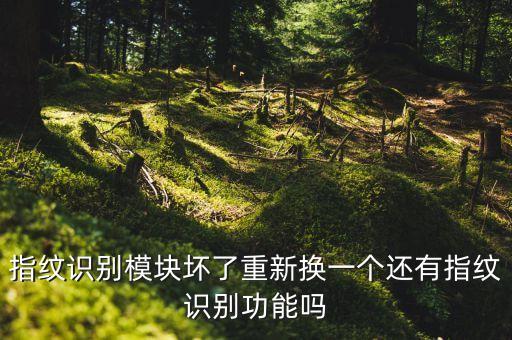 指紋識(shí)別模塊壞了重新?lián)Q一個(gè)還有指紋識(shí)別功能嗎