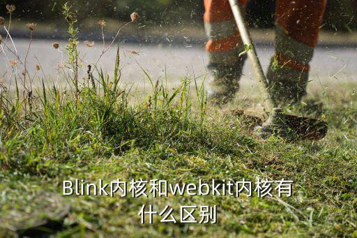 Blink內(nèi)核和webkit內(nèi)核有什么區(qū)別