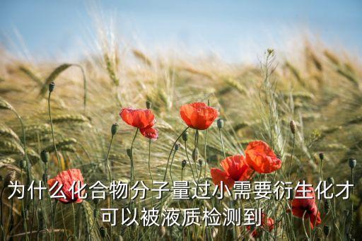 為什么化合物分子量過小需要衍生化才可以被液質(zhì)檢測到