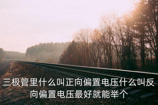 三極管里什么叫正向偏置電壓什么叫反向偏置電壓最好就能舉個(gè)