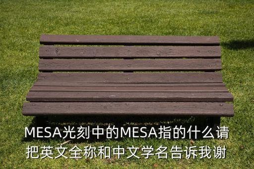 MESA光刻中的MESA指的什么請(qǐng)把英文全稱和中文學(xué)名告訴我謝