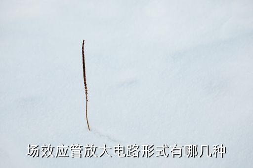 場(chǎng)效應(yīng)管放大電路形式有哪幾種