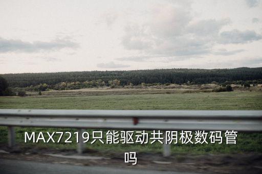 MAX7219只能驅(qū)動共陰極數(shù)碼管嗎
