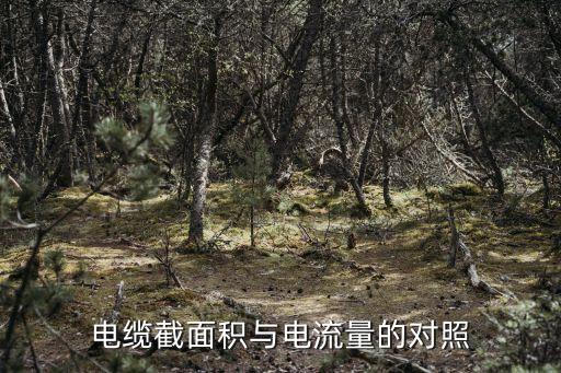 電纜截面積與電流量的對照