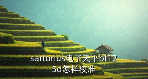 sartorius電子天平bt125d怎樣校準