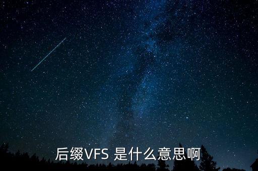 后綴VFS 是什么意思啊