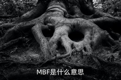 mbf，什么是MBF