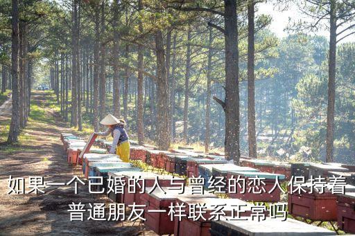 人與曾，單人旁和曾怎么拼
