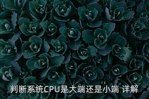 判斷系統(tǒng)CPU是大端還是小端 詳解