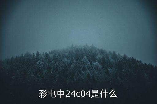 彩電中24c04是什么