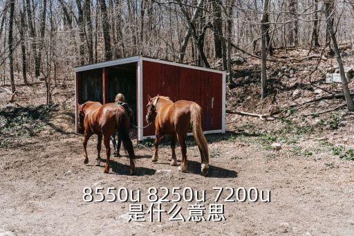 8250u，8550u 8250u 7200u是什么意思