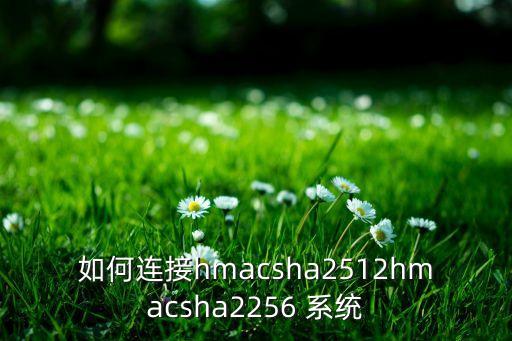 如何連接hmacsha2512hmacsha2256 系統(tǒng)