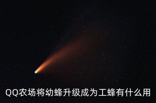 QQ農(nóng)場將幼蜂升級(jí)成為工蜂有什么用