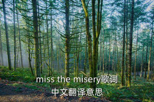 miss the misery歌詞中文翻譯意思