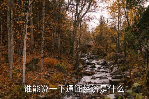 誰(shuí)能說(shuō)一下通證經(jīng)濟(jì)是什么