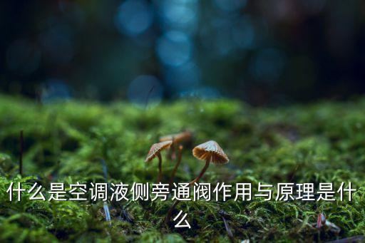 什么是空調(diào)液側(cè)旁通閥作用與原理是什么
