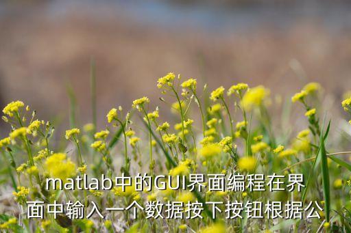 按下按鈕，matlab中的GUI界面編程在界面中輸入一個(gè)數(shù)據(jù)按下按鈕根據(jù)公