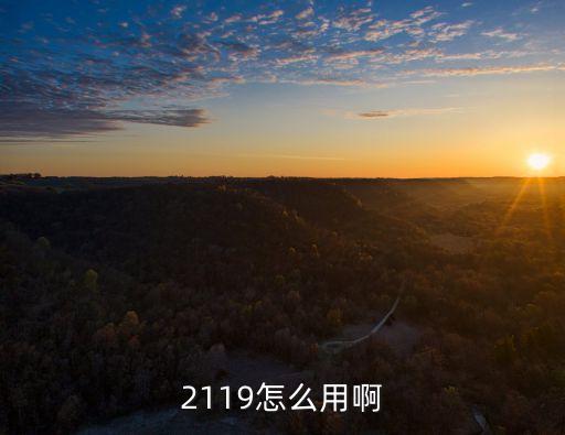 2119怎么用啊