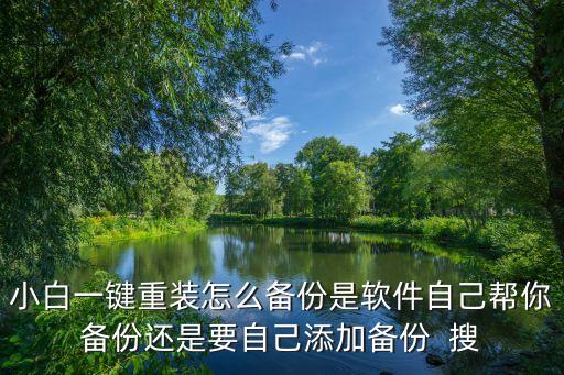 小白云盤，小白一鍵重裝怎么備份是軟件自己幫你備份還是要自己添加備份  搜