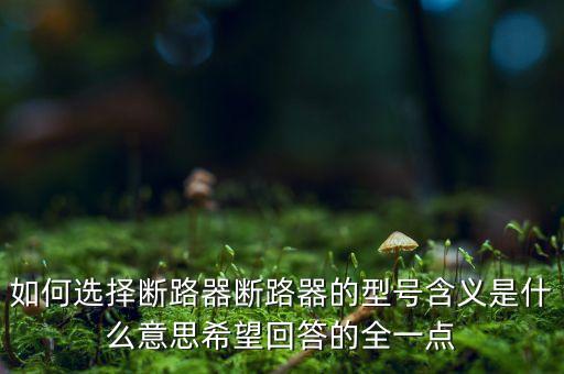 如何選擇斷路器斷路器的型號含義是什么意思希望回答的全一點