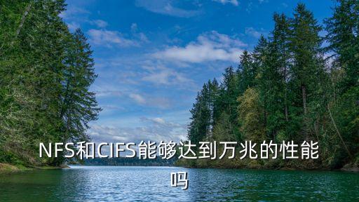 NFS和CIFS能夠達到萬兆的性能嗎