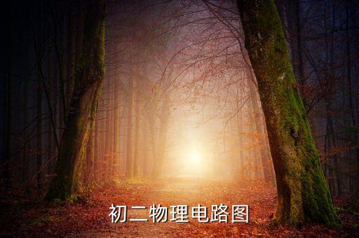 初二物理電路圖