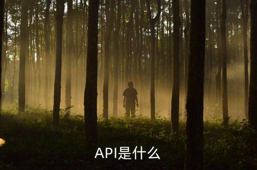 API是什么
