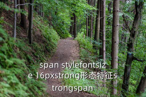 span stylefontsize 16pxstrong形態(tài)特征strongspan