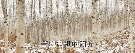 音圈電機(jī)的簡(jiǎn)介