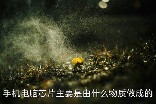 手機電腦芯片主要是由什么物質(zhì)做成的