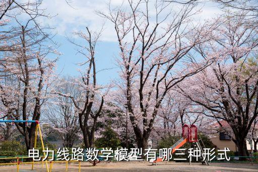 電路模型，什么叫做電路模型
