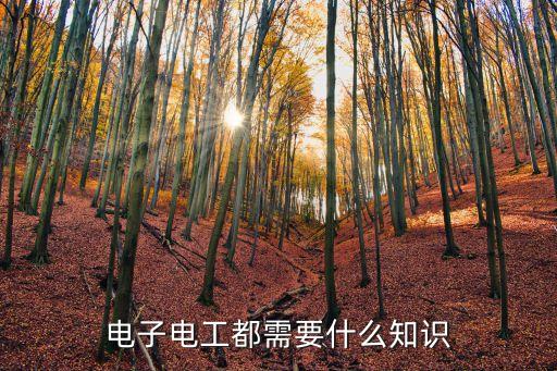電工電子基礎(chǔ)知識，電工電子基礎(chǔ)知識的內(nèi)容簡介