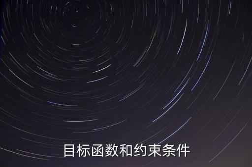 目標(biāo)函數(shù)和約束條件