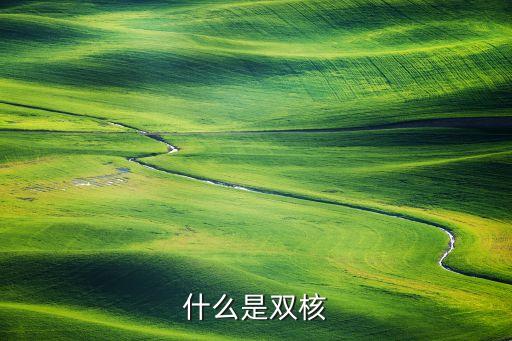 什么是雙核