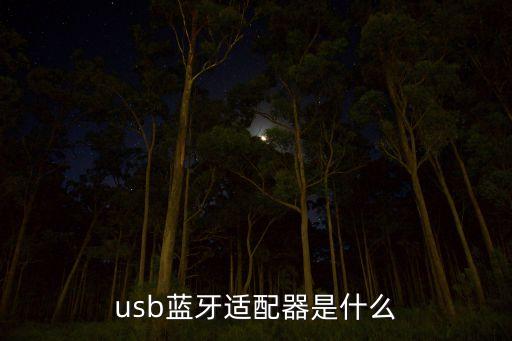 usb藍(lán)牙適配器是什么