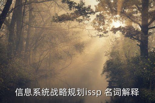 信息系統(tǒng)戰(zhàn)略規(guī)劃issp 名詞解釋